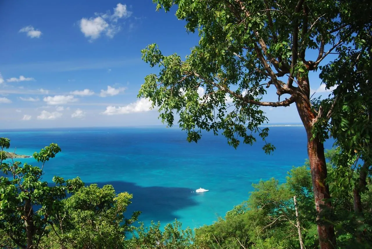 Magnifique Studio Anse Marcel Saint Martin Apartment